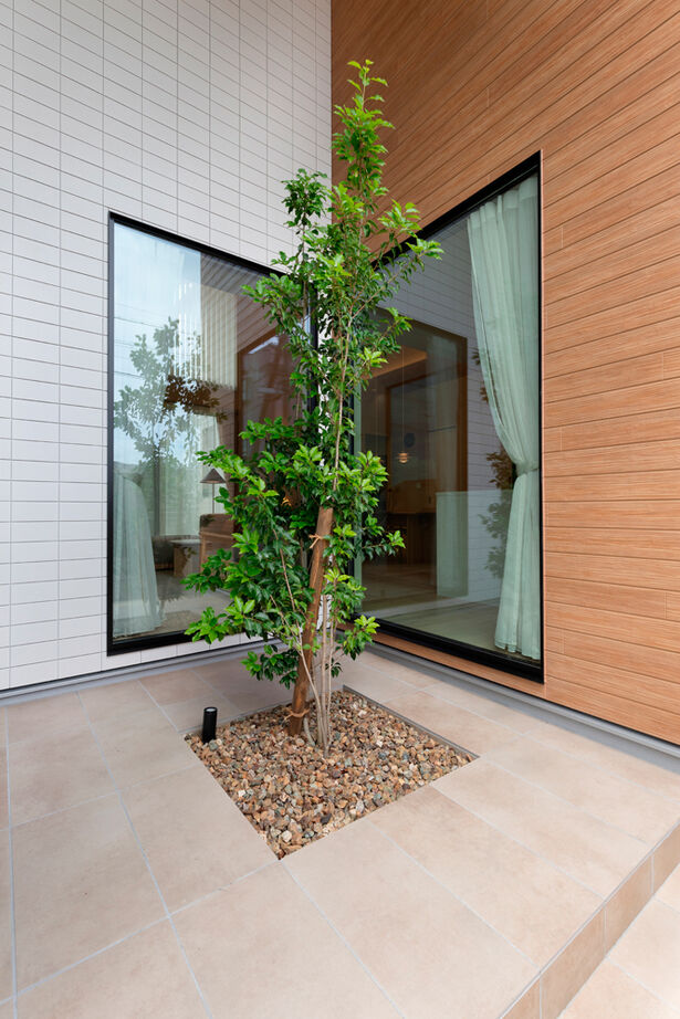 クラシスホーム 【2000万円台/3LDK/平屋/中庭/ジャパンディ/間取図】20畳超のLDKと勾配天井。ゆとりと上質感ある平屋暮らしの建築実例画像13