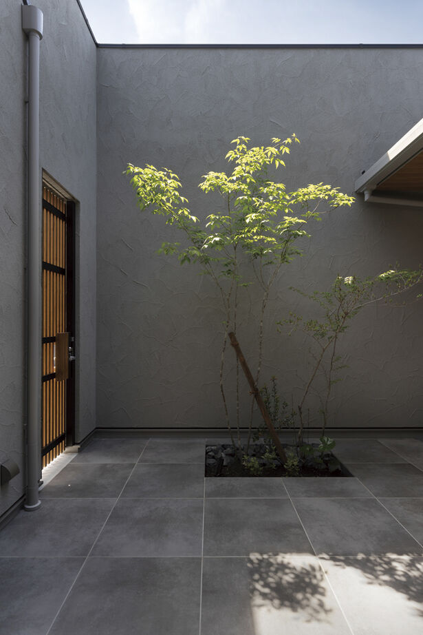 クラシスホーム 【2000万円台/2LDK/42坪/シンプルモダン/中庭/間取図】庭に面して広がる、理想を形にしたプライベート空間の建築実例画像7