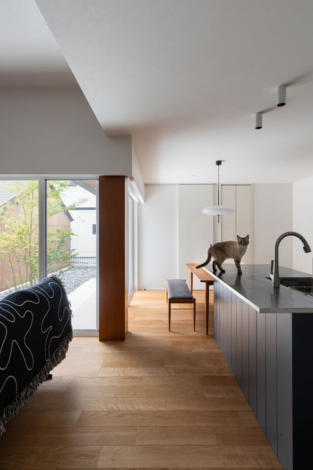 クラシスホーム 【2000万円台/平屋風/L字型/間取り図】飾り気のない余白を愉しむ。猫と暮らすシンプルな住まいの建築実例画像5