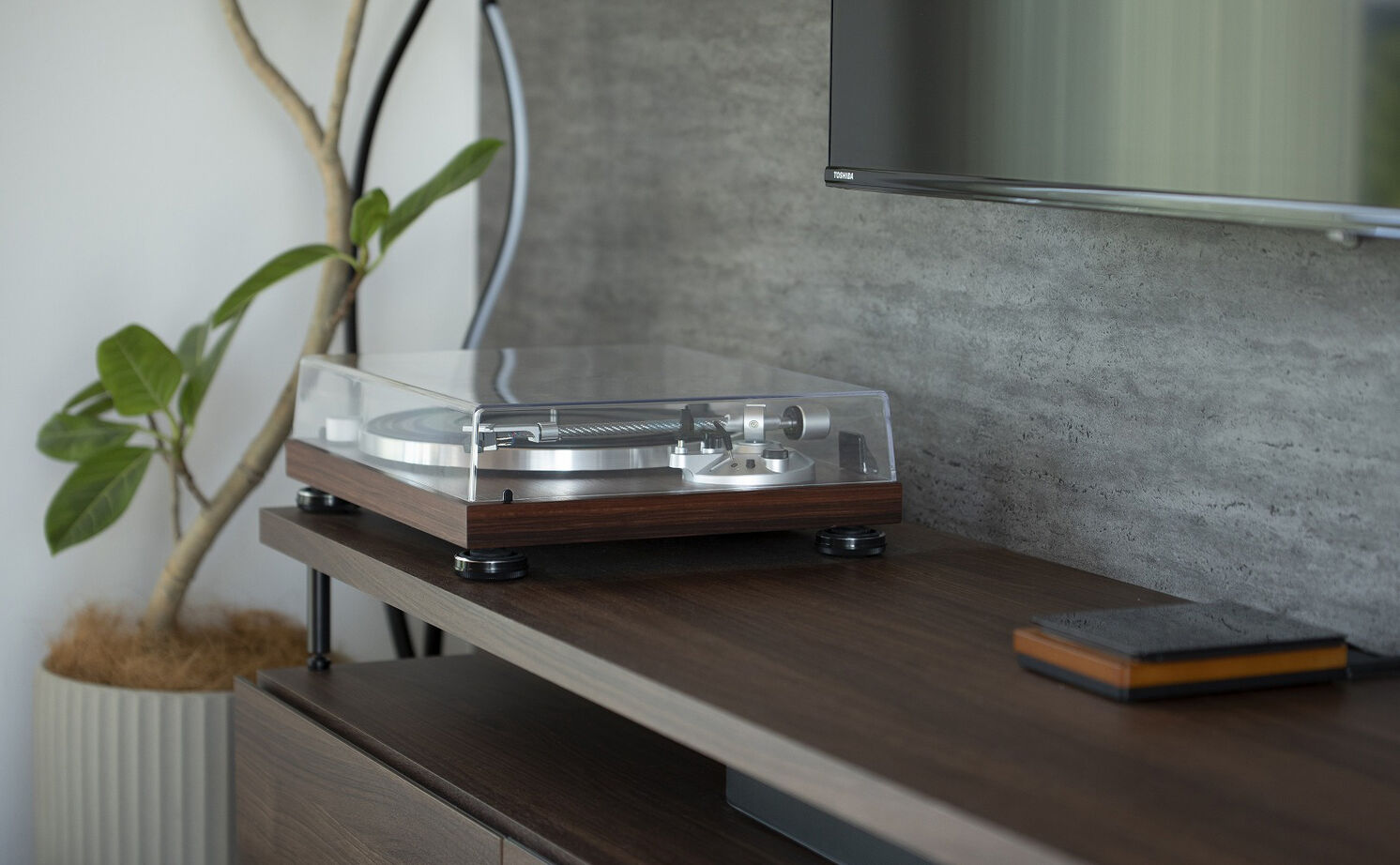 スタジオ・チッタ 【2620万円／29.4坪／間取り有／中庭／平屋】2つの中庭がもたらす光と開放感。リゾート気分を愉しむ平屋の建築実例画像9