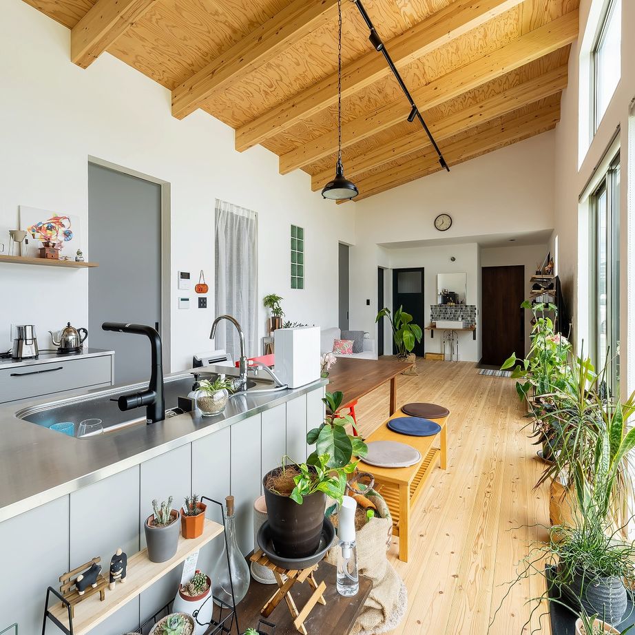 321HOUSE（ミツイハウス） 【平屋／シンプル／コンパクト】植物と暮らすモスグリーンのコンパクトな平屋の建築実例画像5