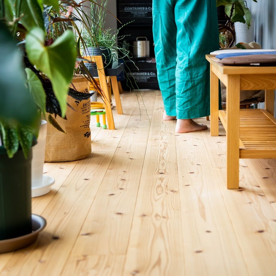 321HOUSE（ミツイハウス） 【平屋／シンプル／コンパクト】植物と暮らすモスグリーンのコンパクトな平屋の建築実例画像6