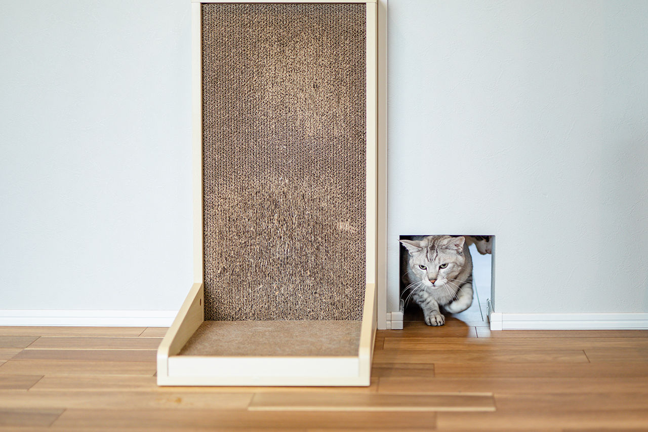 ジャストホーム 【熊本市/2000万円台前半/間取り図】キャットステップや床暖房、日向ぼっこスポットなど猫も心地よい家の建築実例画像4