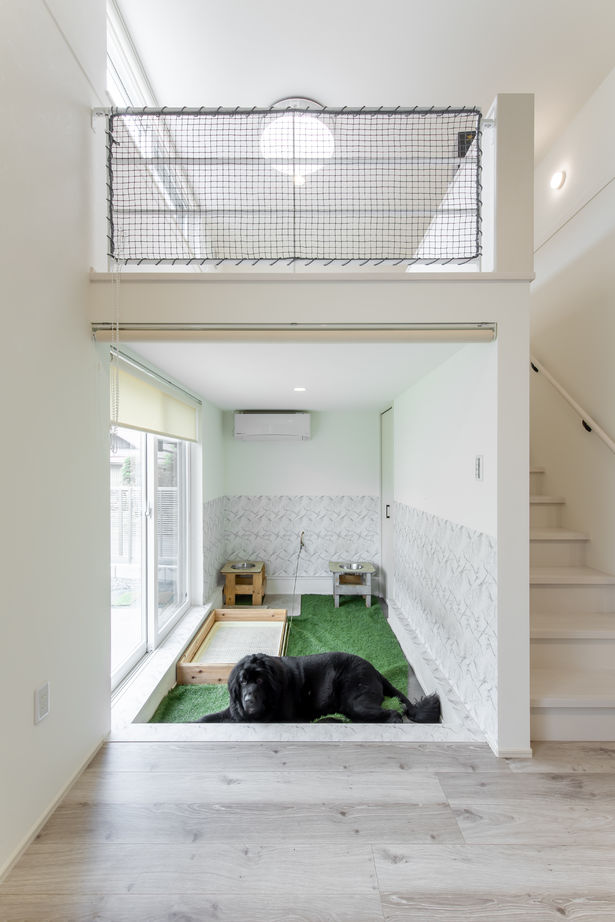 アイデザインホーム 【2000万円台/広島県庄原市/延床約30坪/平屋/ペットと暮らす】グレートピレニーズと暮らすシンプルな平屋の建築実例画像7