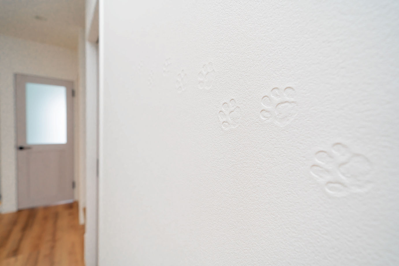 一級建築士事務所　上野工務店 【1000万円台／約30坪／間取り有】収納も住みやすさも大満足！おしゃれで可愛いカリフォルニアテイストの家の建築実例画像7