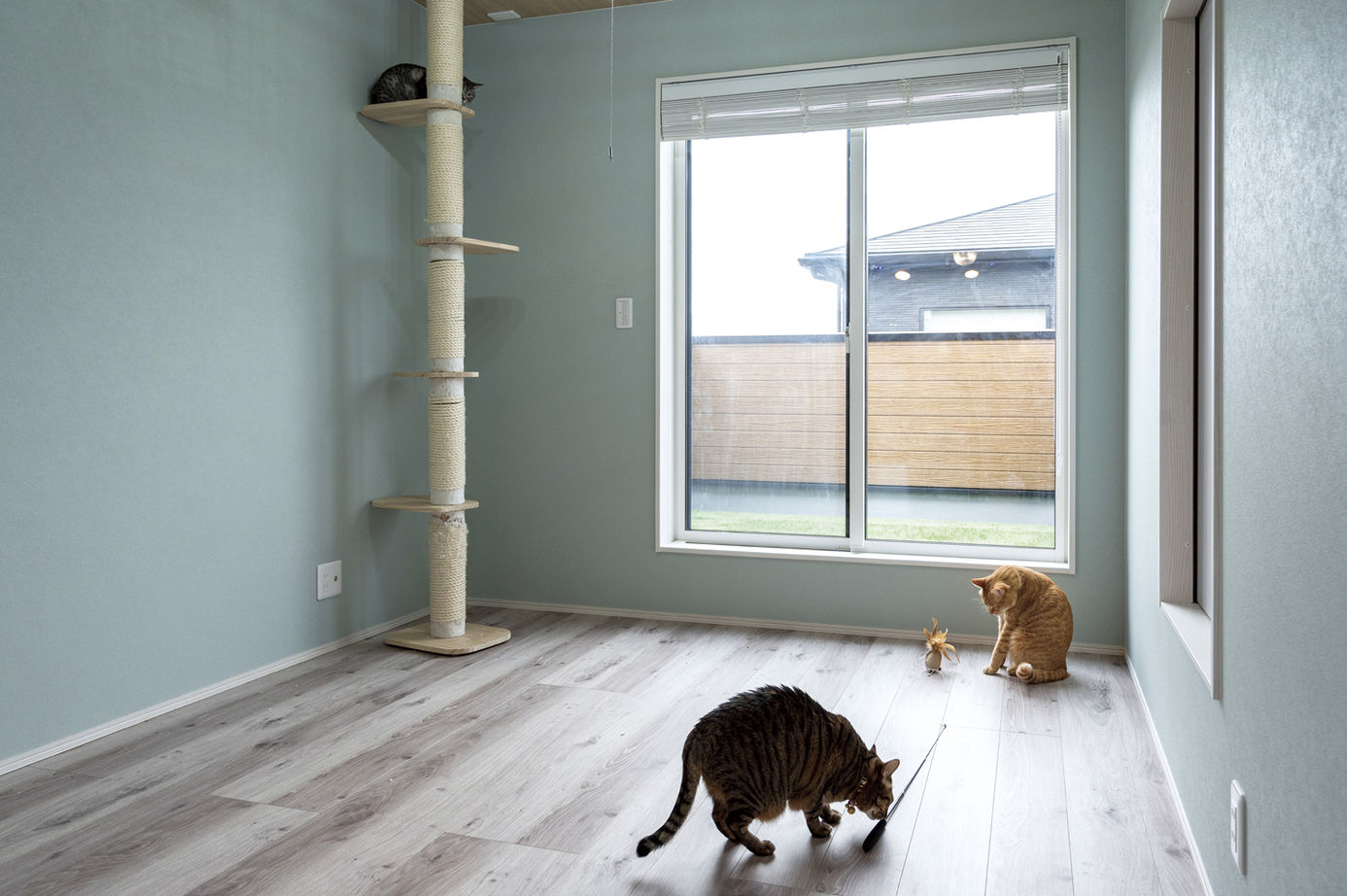 辰巳住宅 【美容室/2階リビング/間取り図有】愛猫・愛犬との暮らしを楽しめる店舗併用住宅の建築実例画像9