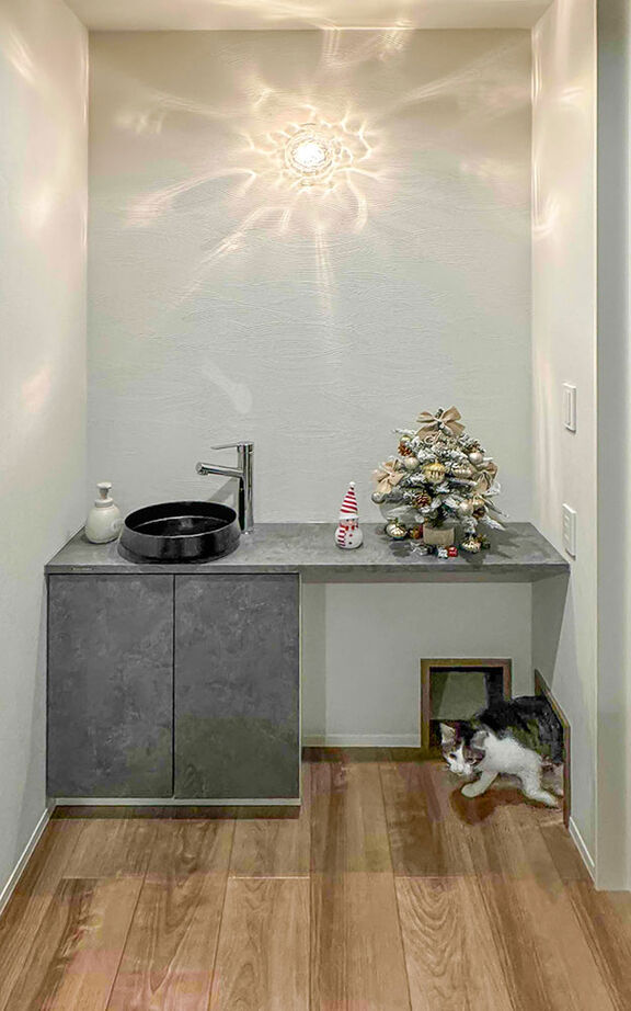 ロイヤルウッド 【29坪×ペット共生×2階水回り】愛猫のための耐震性＆快適を優先。3匹とのびのび寛げるアイデア満載の家の建築実例画像6