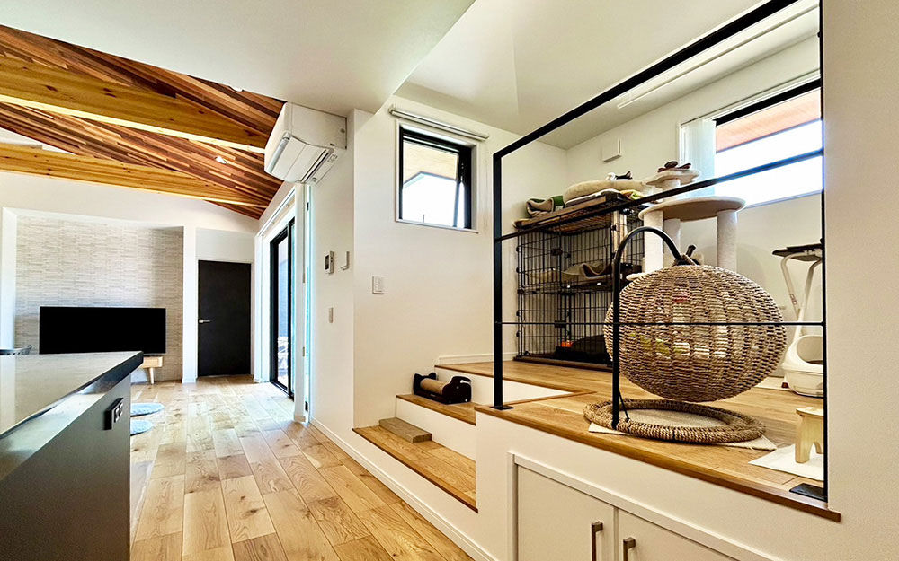 ロイヤルウッド 【34坪×ペット仕様×平屋風】梁やキャットウォークに猫たちもご機嫌。スキップフロアで変化を楽しむ半平屋の建築実例画像4