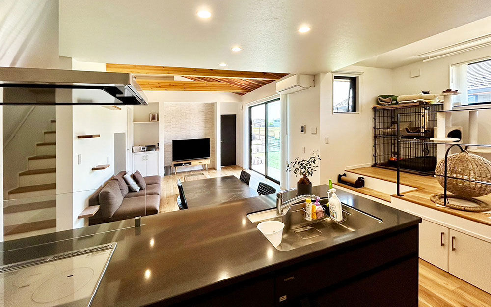 ロイヤルウッド 【34坪×ペット仕様×平屋風】梁やキャットウォークに猫たちもご機嫌。スキップフロアで変化を楽しむ半平屋の建築実例画像5