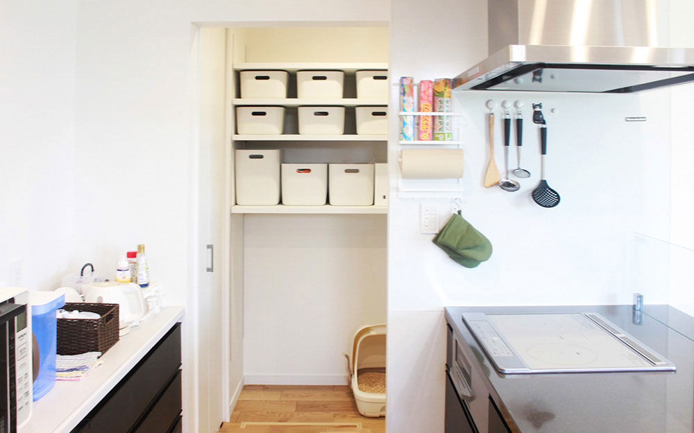 ロイヤルウッド 【34坪×ペット仕様×平屋風】梁やキャットウォークに猫たちもご機嫌。スキップフロアで変化を楽しむ半平屋の建築実例画像6