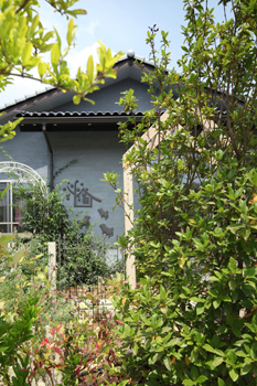 木のすまい工房 【2000万円台｜23坪｜平屋】漆喰の塗り壁や木の質感に惚れ込んだ風情を楽しむ和モダンの平屋＜間取り図有＞の建築実例画像2