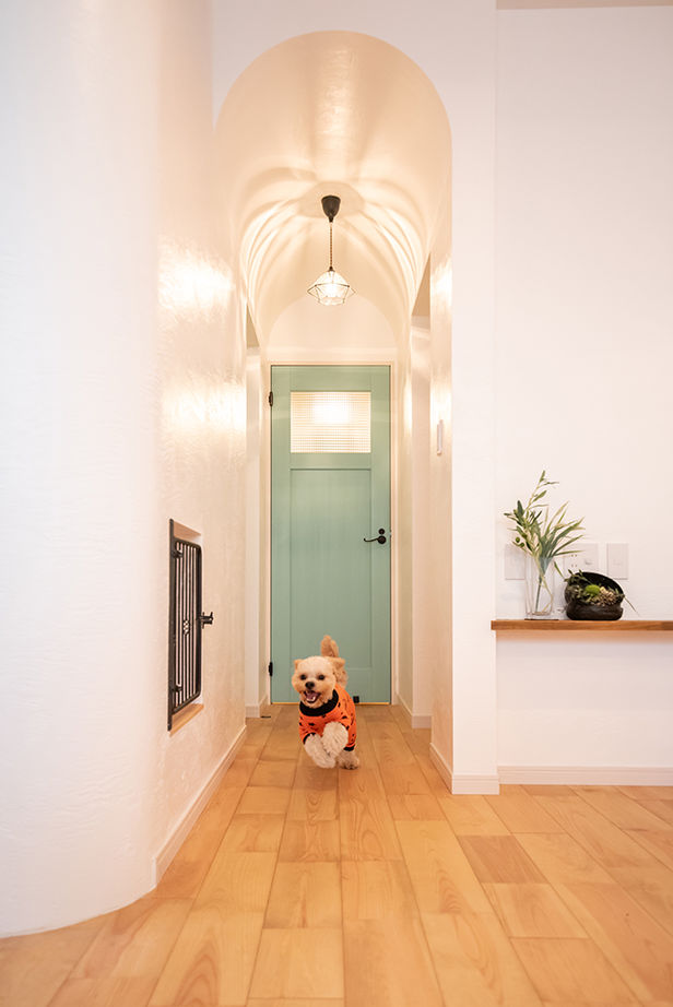 木のすまい工房 【2000万円台／ペット／賃貸併用／間取図有】飼い主とペットの関係を叶えた「ドッグサロン＆賃貸併用住宅」の建築実例画像