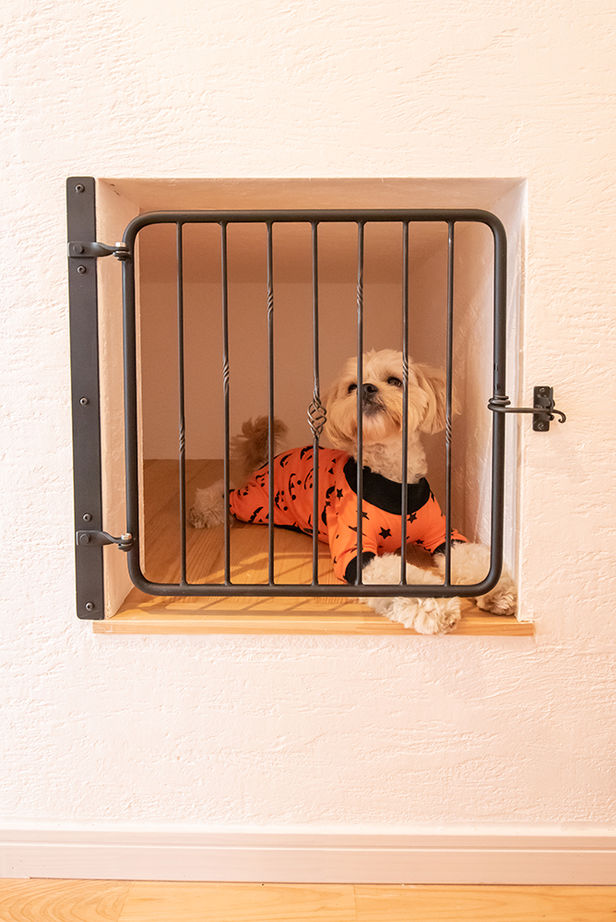 木のすまい工房 【2000万円台／ペット／賃貸併用／間取図有】飼い主とペットの関係を叶えた「ドッグサロン＆賃貸併用住宅」の建築実例画像14