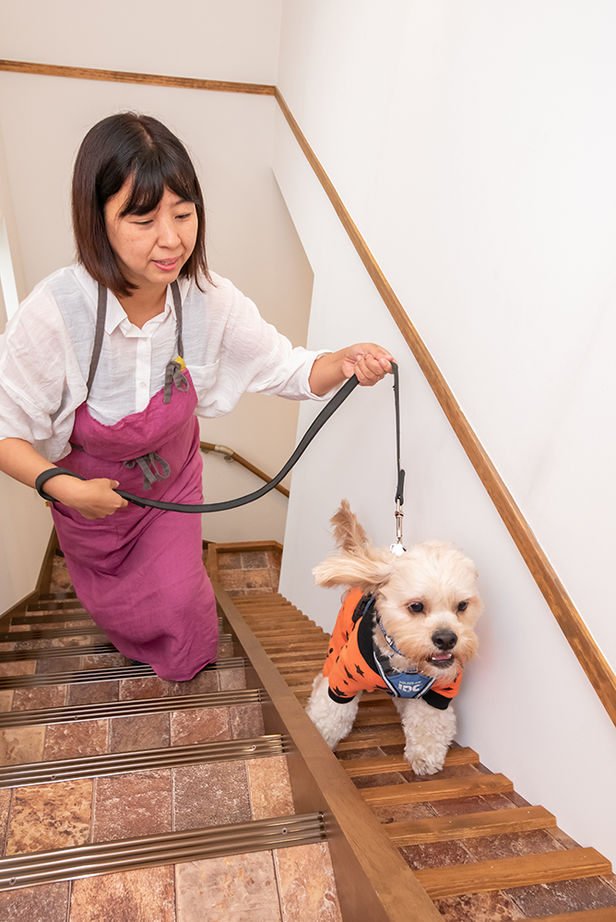 木のすまい工房 【2000万円台／ペット／賃貸併用／間取図有】飼い主とペットの関係を叶えた「ドッグサロン＆賃貸併用住宅」の建築実例画像19