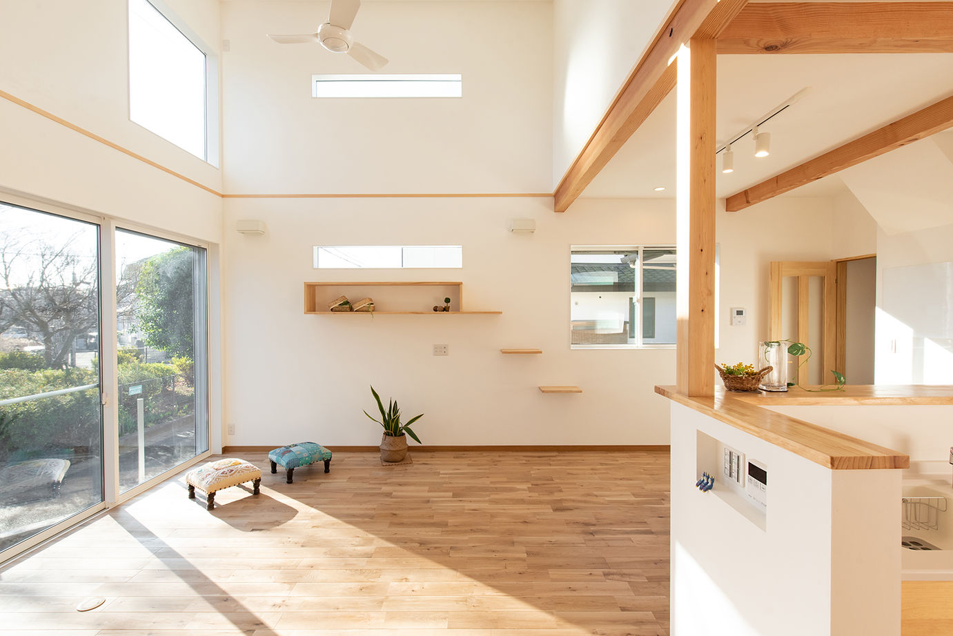 木のすまい工房 【2000万円台／平屋／ペット／自然素材／間取図有】愛猫と穏やかに暮らす明るい木の平屋の建築実例画像3