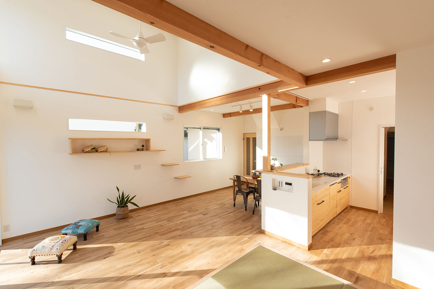 木のすまい工房 【2000万円台／平屋／ペット／自然素材／間取図有】愛猫と穏やかに暮らす明るい木の平屋の建築実例画像11