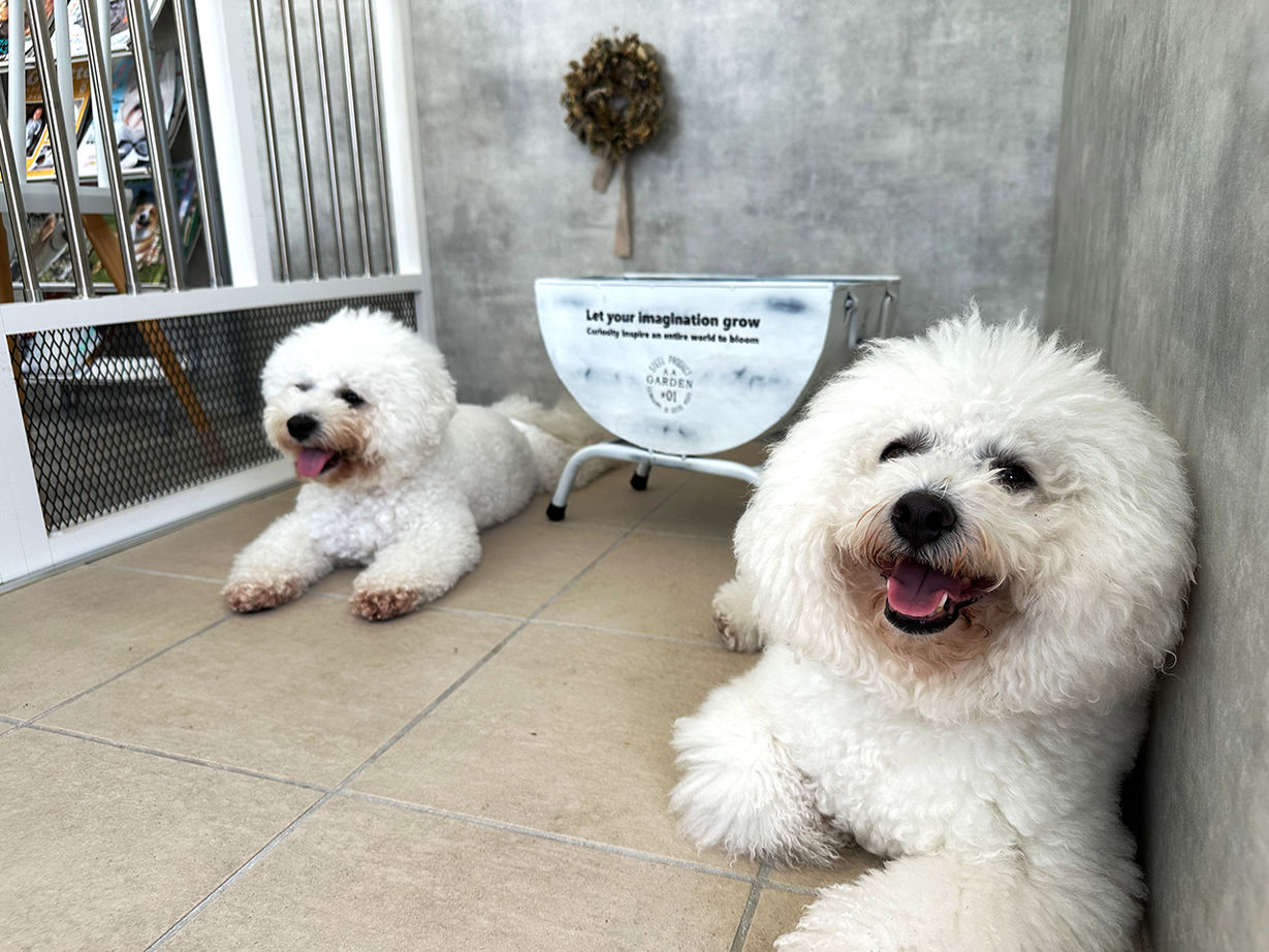 リンクワークス 【郡山市｜1940万円/延床37坪】ドッグランも！ワンちゃんが快適に過ごせるペットショップを併設した2階建ての建築実例画像5