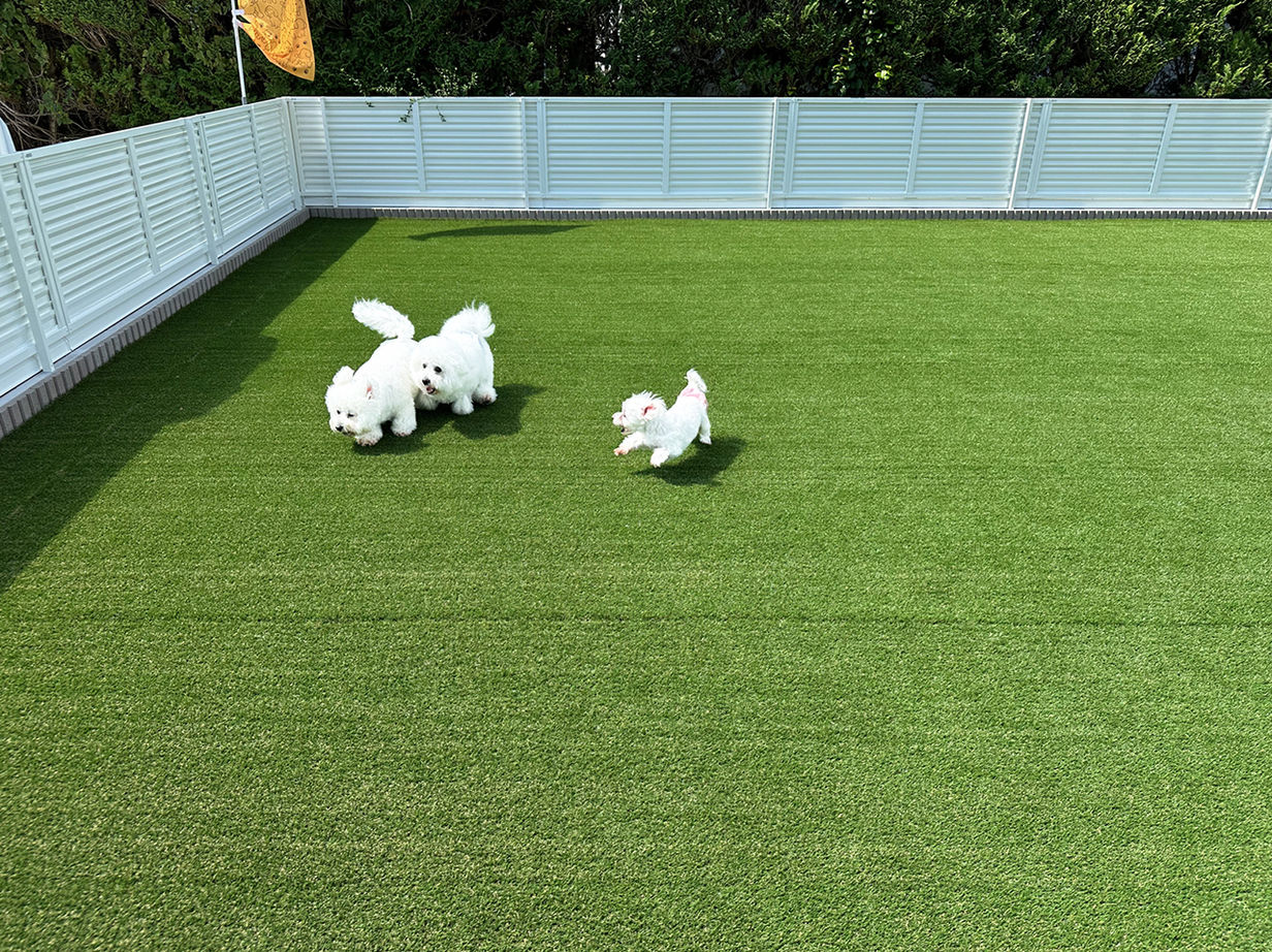 リンクワークス 【郡山市｜1940万円/延床37坪】ドッグランも！ワンちゃんが快適に過ごせるペットショップを併設した2階建ての建築実例画像9