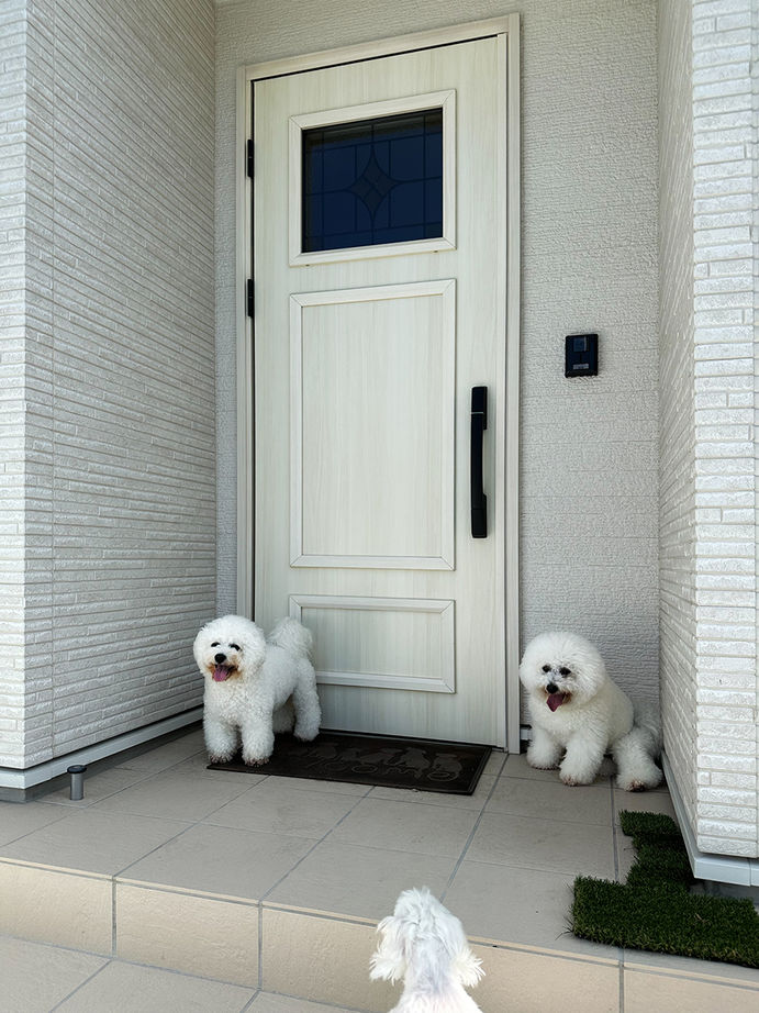 リンクワークス 【郡山市｜1940万円/延床37坪】ドッグランも！ワンちゃんが快適に過ごせるペットショップを併設した2階建ての建築実例画像10