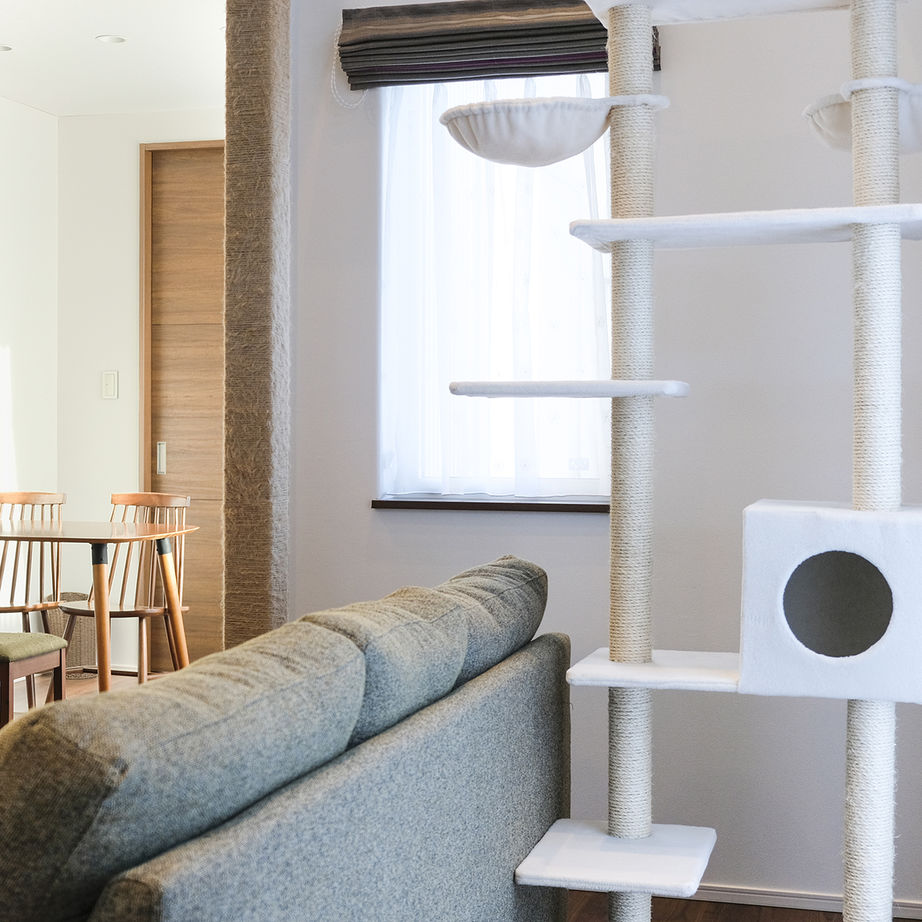 maida koumuten 【江別市/間取り/2LDK＋猫スペース3畳/吹抜け/床暖房】愛猫と暮らす吹抜けキャットウォークのある家の建築実例画像4