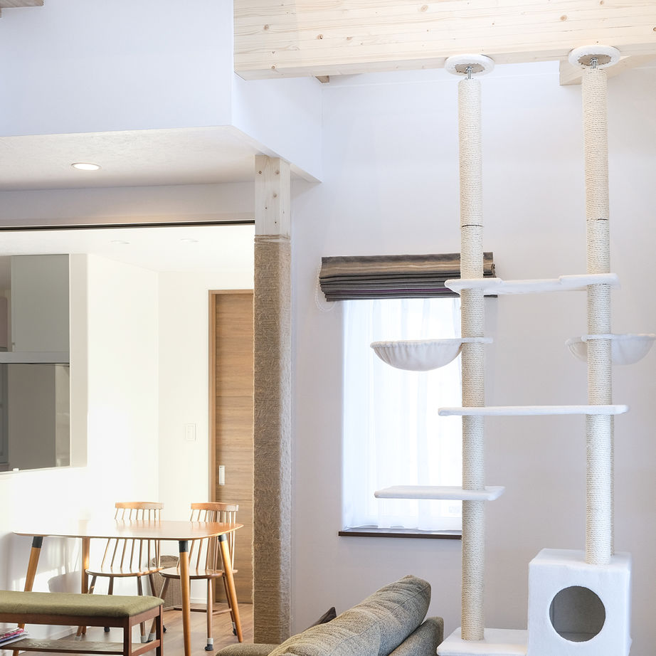 maida koumuten 【江別市/間取り/2LDK＋猫スペース3畳/吹抜け/床暖房】愛猫と暮らす吹抜けキャットウォークのある家の建築実例画像7