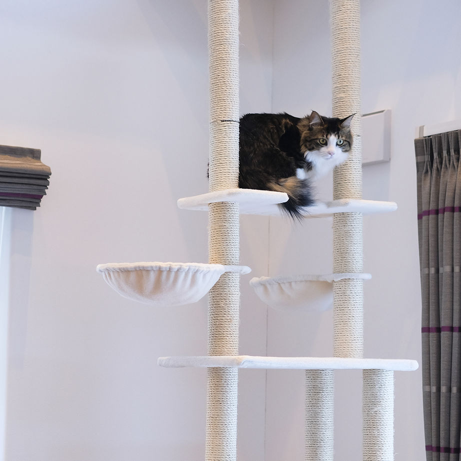 maida koumuten 【江別市/間取り/2LDK＋猫スペース3畳/吹抜け/床暖房】愛猫と暮らす吹抜けキャットウォークのある家の建築実例画像8