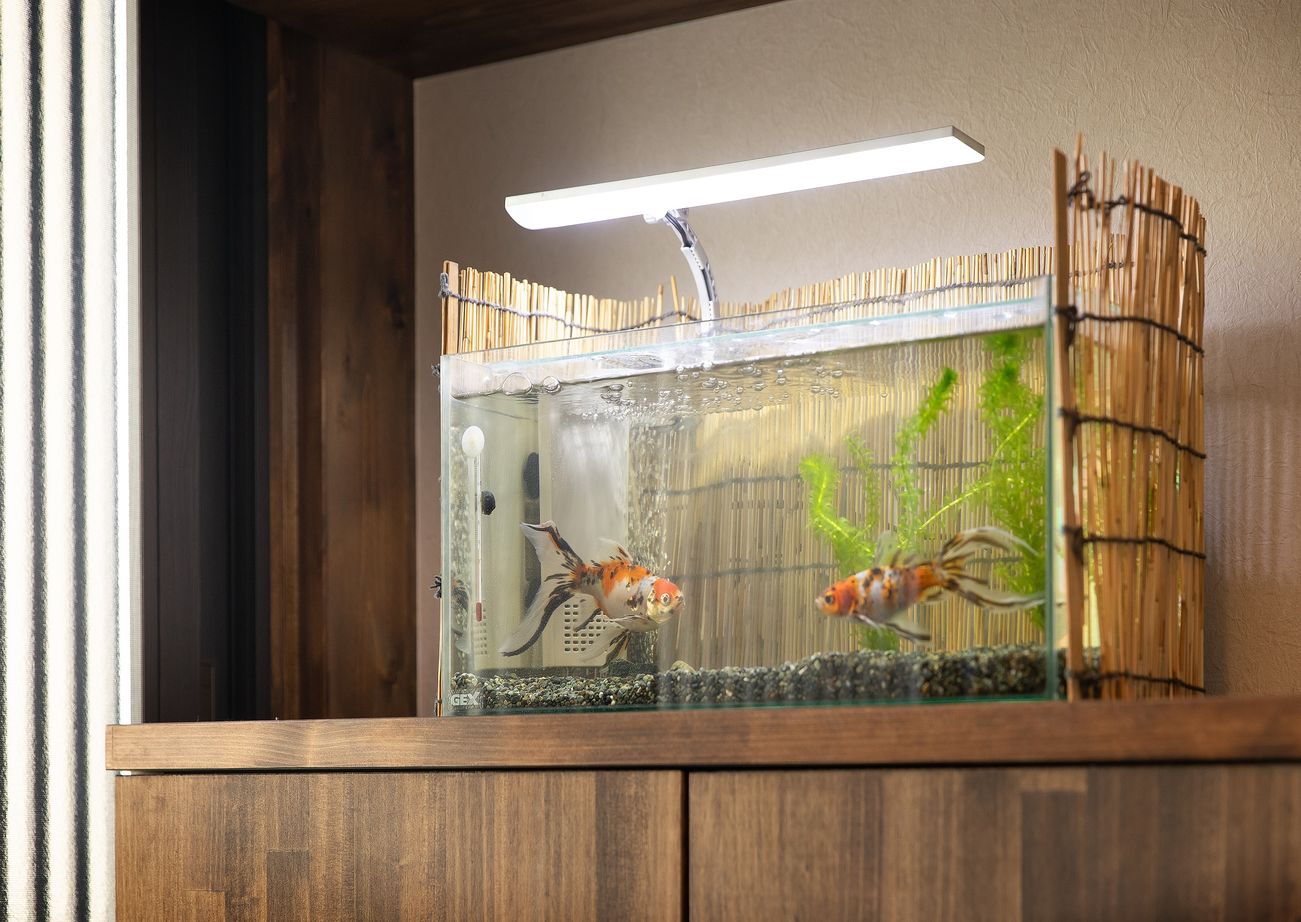 綿半林業 【ひのき/30坪/1719万円】純和風をアレンジしたレトロモダンな家の建築実例画像14