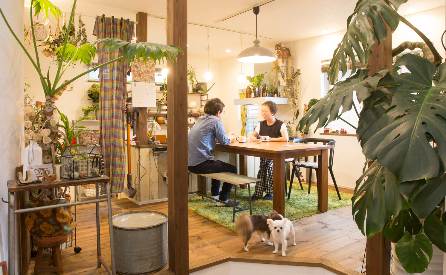 アーキホームライフ ［京都・1000万円台・30坪以下・駐車場有］無垢材、漆喰などをふんだんに使った平屋の実例（間取り有）の建築実例画像1