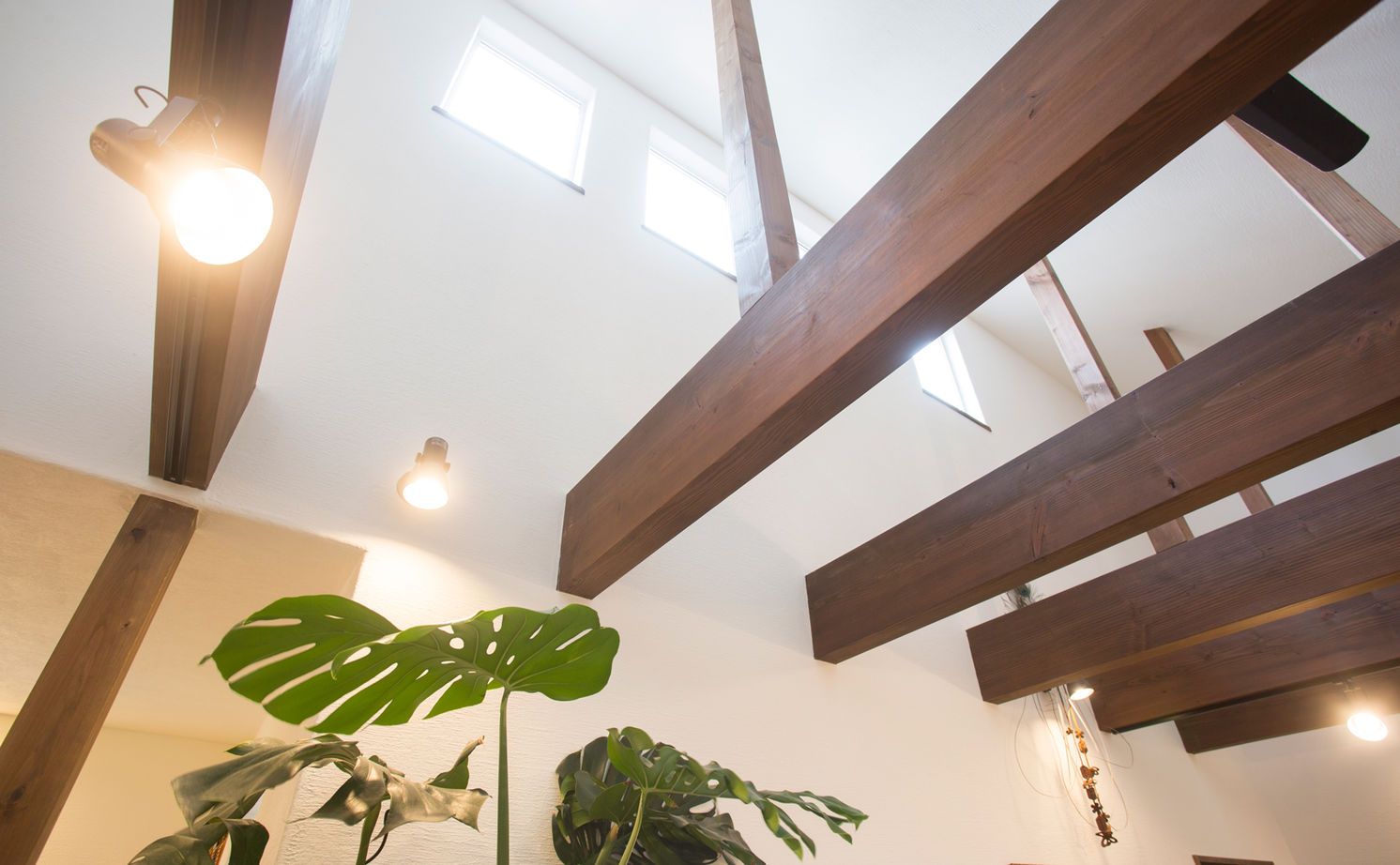 アーキホームライフ ［京都・1000万円台・30坪以下・駐車場有］無垢材、漆喰などをふんだんに使った平屋の実例（間取り有）の建築実例画像15