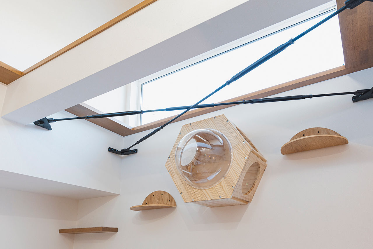 アーキホームライフ 【大阪/1000万円台/吹き抜け】ネコと一緒に快適に暮らす。シンプルな窓なし外観の中に、開放的な家の建築実例画像5