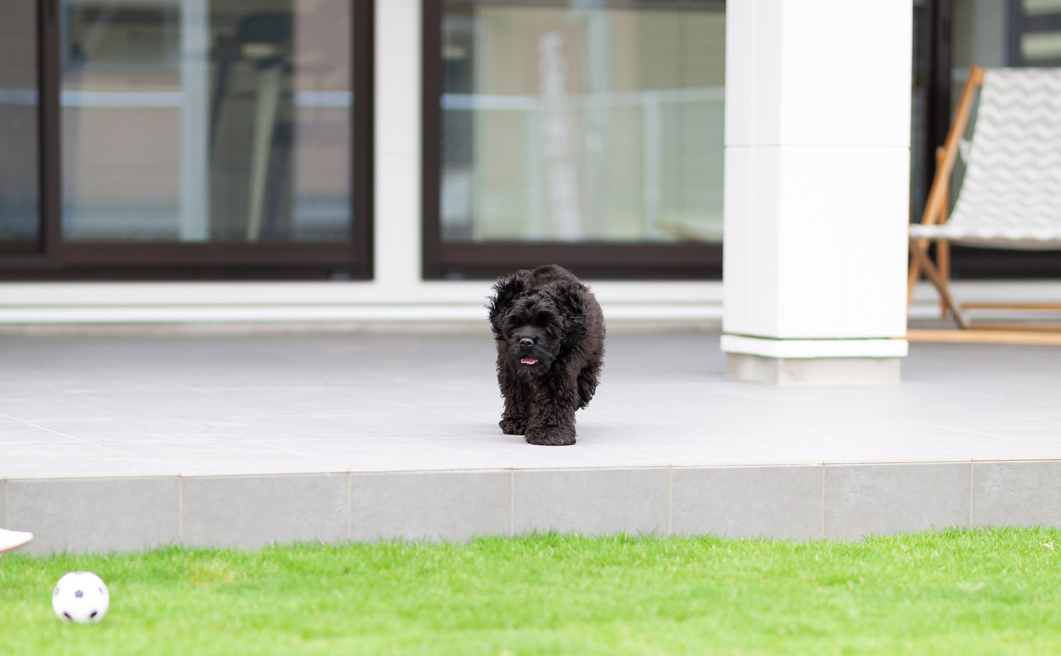 アーキホームライフ ［大阪・1000万円台・30坪以下・駐車場有］大阪1000万円台で25坪ながら広々開放感の平屋の実例（間取り有）の建築実例画像17