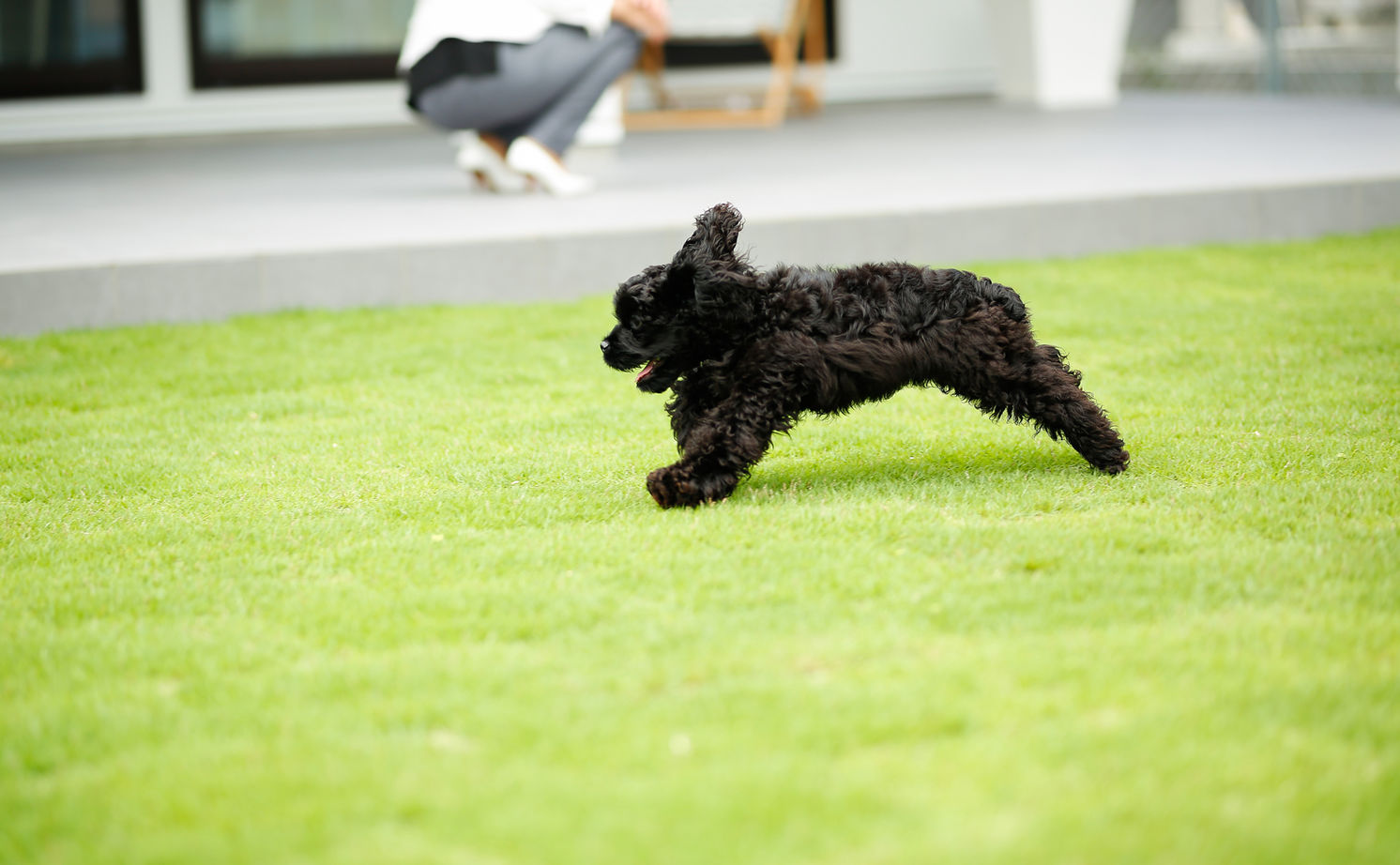 アーキホームライフ ［大阪・1000万円台・30坪以下・駐車場有］大阪1000万円台で25坪ながら広々開放感の平屋の実例（間取り有）の建築実例画像18