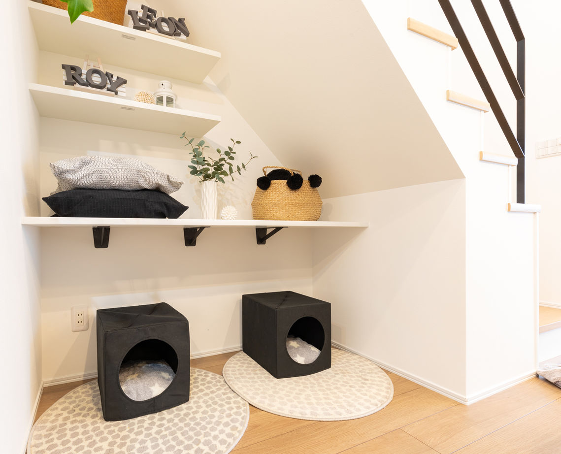 アーキホームライフ ［1000万円台・リビング階段・30坪・駐車場有］愛犬と暮らしを楽しむ工夫が満載の住まい（間取り有）の建築実例画像7