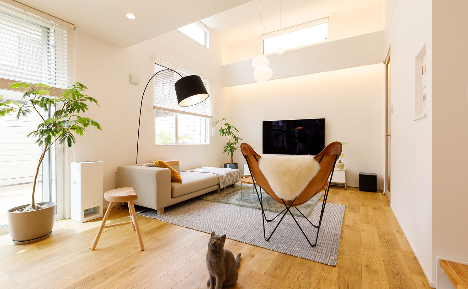 アーキホームライフ 【2000万円台・高天井・回遊動線】プライバシーを守り、中は開放的に。こだわりの動線で家事ラクも叶えたの建築実例画像5