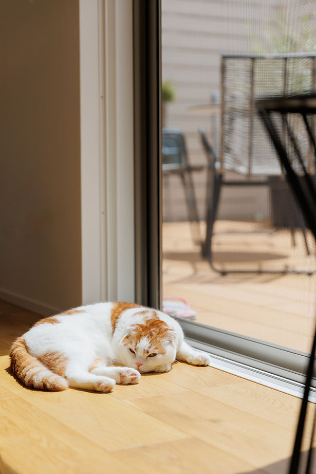 アーキホームライフ 【2000万円台・高天井・回遊動線】プライバシーを守り、中は開放的に。こだわりの動線で家事ラクも叶えたの建築実例画像16