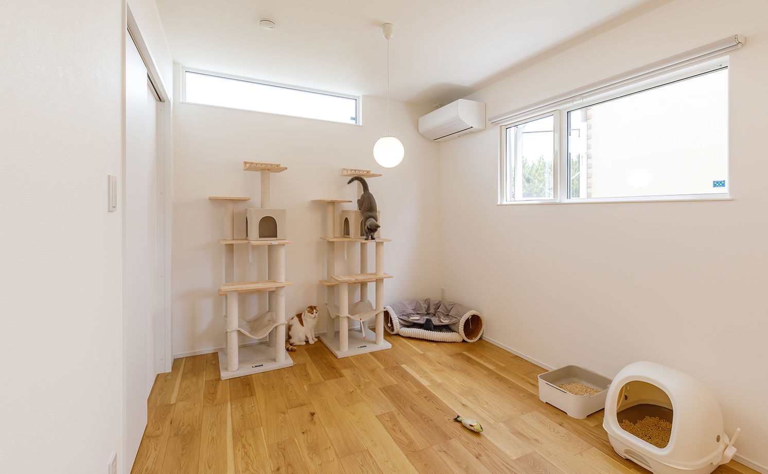 アーキホームライフ 【2000万円台・高天井・回遊動線】プライバシーを守り、中は開放的に。こだわりの動線で家事ラクも叶えたの建築実例画像19