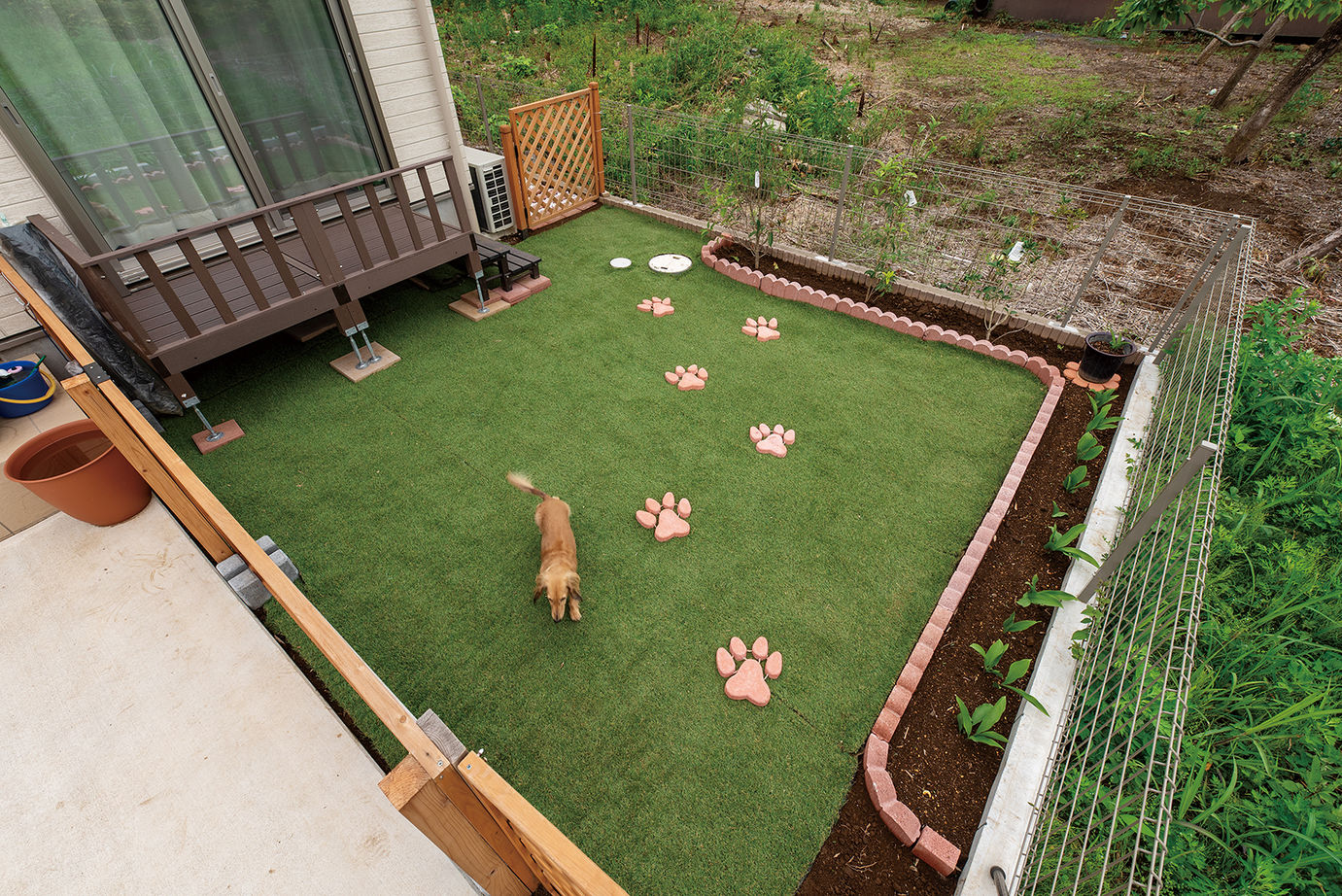 住宅情報館 【2000万円～2499万円／平屋／ペット／間取図有】LDKの天井高は5.4ｍ！開放的な雰囲気の中で家族が集う平屋の建築実例画像5