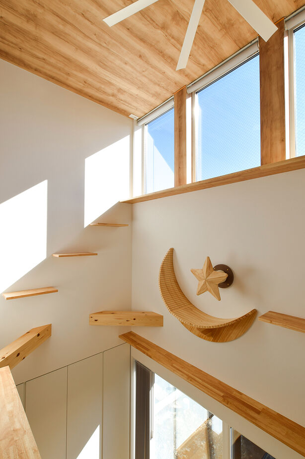 DETAIL HOME（ディテールホーム） 【26坪】吹抜け＆キャットウォークで猫と快適に暮らす住宅の建築実例画像6