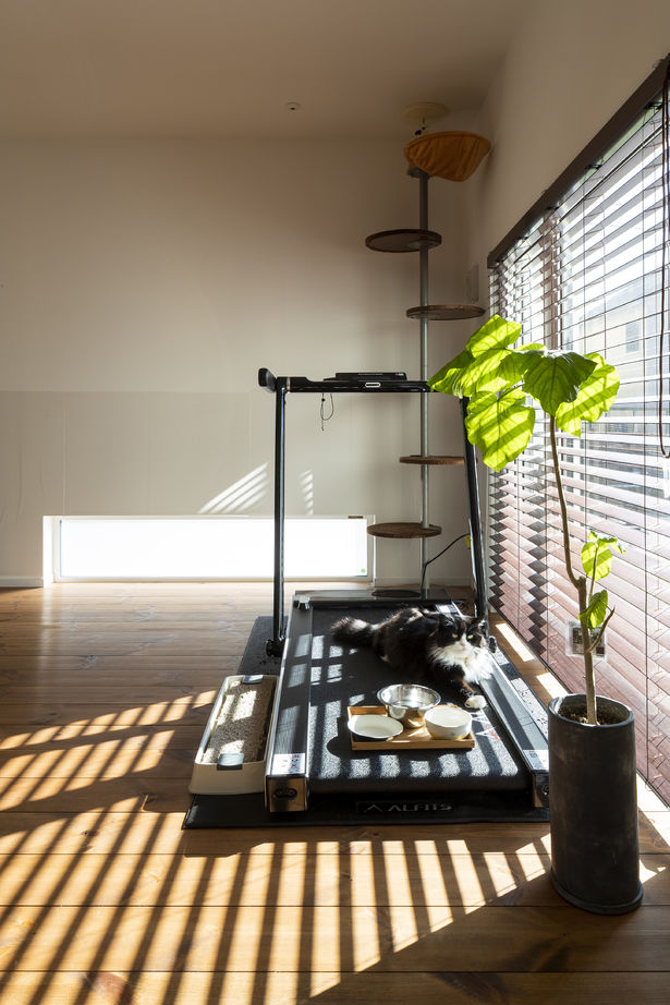 アートホーム 【mini prot Basic】｜北広島市/４LDK｜35坪タイプに１部屋をプラス［タイプと間取選択・規格化住宅］の建築実例画像8