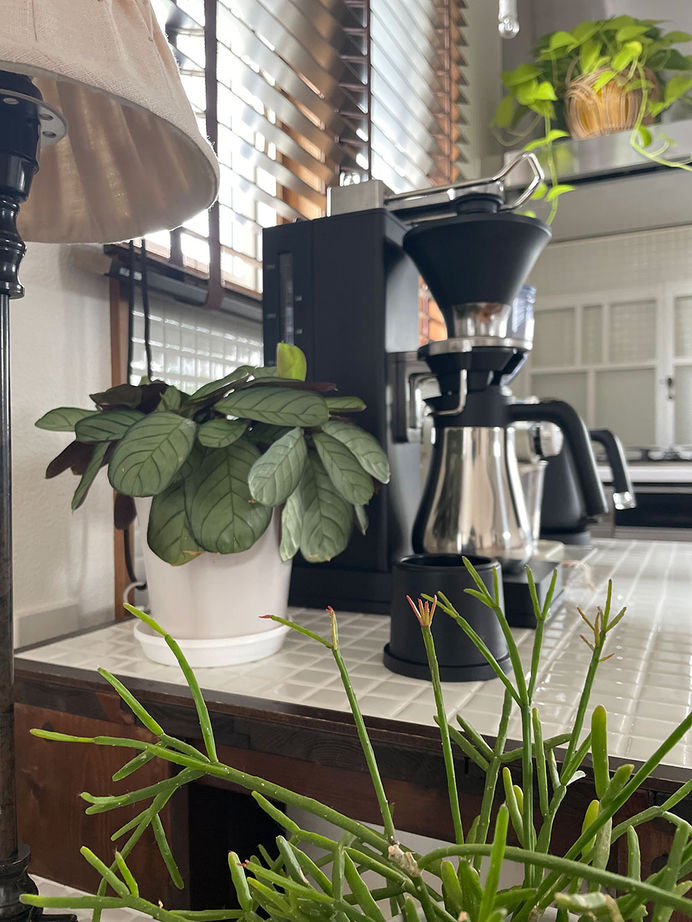 アートホーム 【A-Prot】｜平屋/1000万円台/庭/自然素材/千歳市｜夫婦でミニマルに暮らすお気に入りの家の建築実例画像7