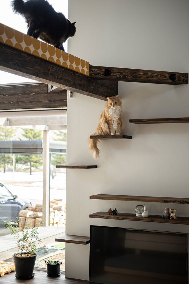 アートホーム 【A-Prot】｜千歳市/2LDK｜窓辺に薪ストーブ・キャットウォークのある、猫と暮らす家の建築実例画像6