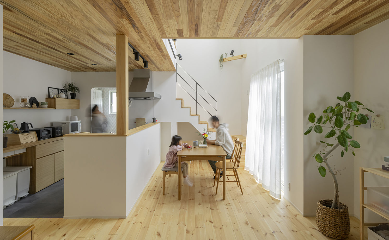 コラボハウス一級建築士事務所 2000万円台｜堺市｜耐震等級3｜間取り図｜敷地20坪台で叶えた、大人ナチュラルな木の家の建築実例画像2