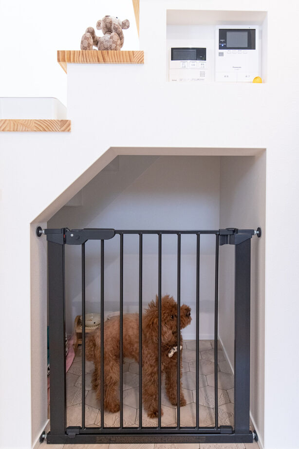 はだしの家． 【23坪／コンパクト×優しい時間】小奏の家－小さな家に、優しい時間の建築実例画像5