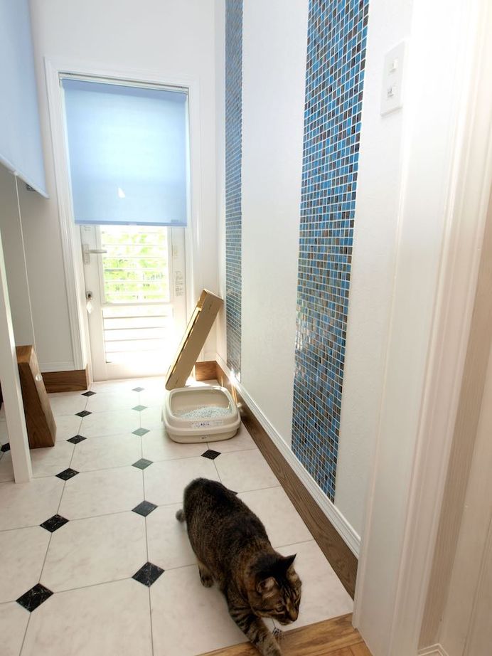 セルコホーム 【30坪台|太陽光発電】吹き抜けリビングが開放感を演出。憧れの映画の世界観を取り入れた、美しい外観の家の建築実例画像12