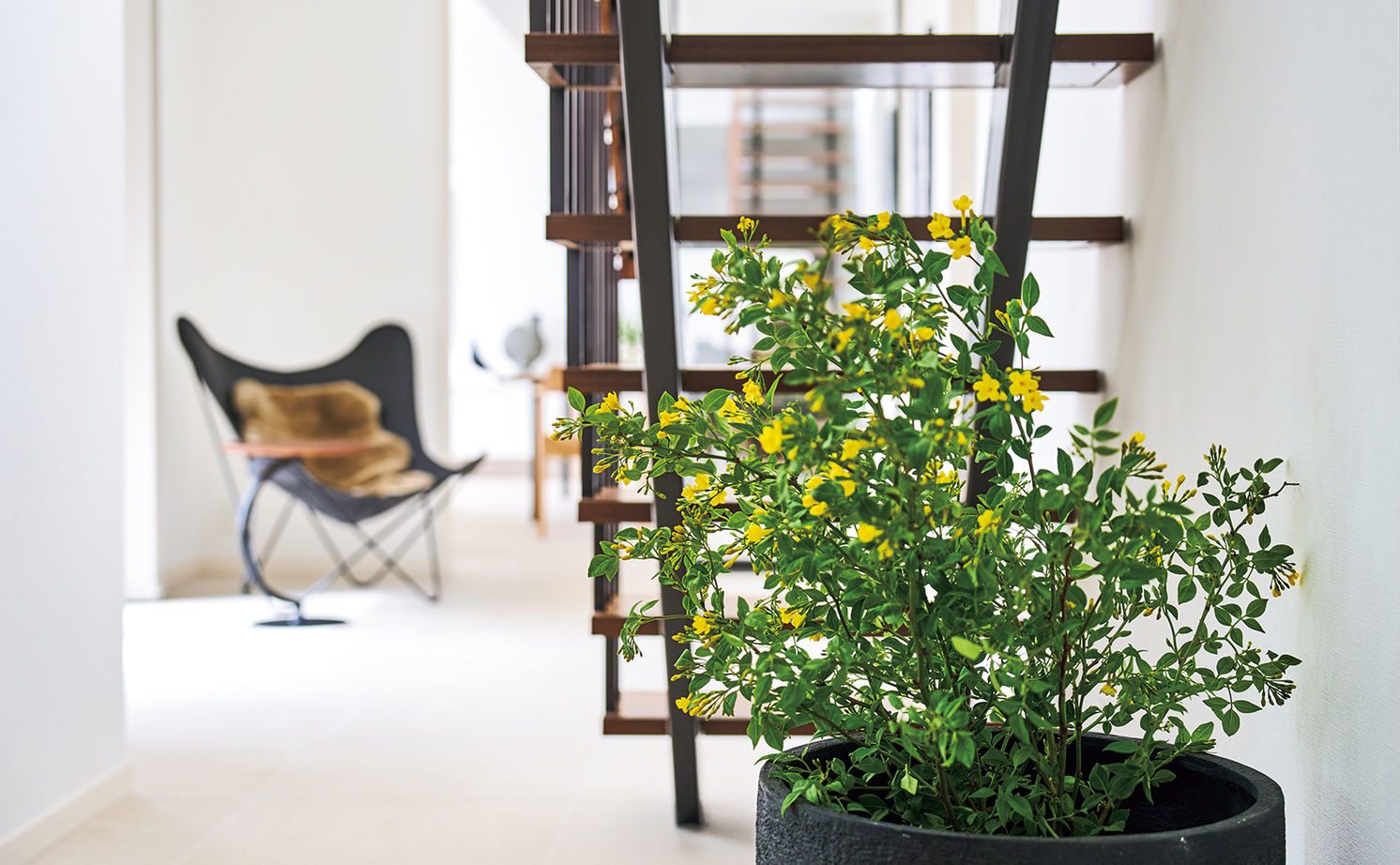 ミサワホーム 【大開口・高天井/シンプルデザイン/高断熱】美しい自然を借景とした、眺めのいい住まいの建築実例画像13