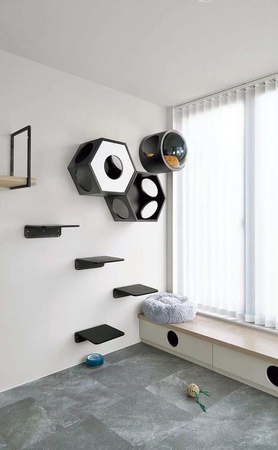 ミサワホーム 【大開口・高天井／高断熱／ペットと暮らす】田園風景を眺め、サウナやホームジムで自分時間を楽しむ住まいの建築実例画像6