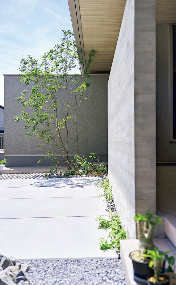 ミサワホーム 【平屋／30坪台／天井高約３m】大きな窓の開放感とプライバシーが両立する暮らしの建築実例画像6