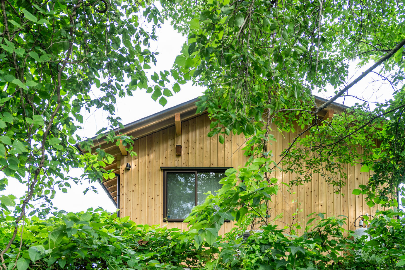 hoku archidesign 【間取図有｜3500～3999万円｜2LDK｜建築家と建てる】自然を感じながら住まう平屋の建築実例画像10