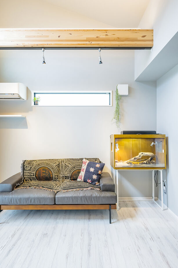 コタエルハウス（山岸工業） 【1000万円台／20坪台／平屋／間取り図】土地探しから安心の家づくりでストレスなく快適な暮らしをゲット！の建築実例画像8