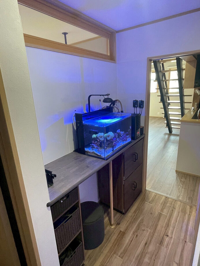 ハウス21（いわき・北茨城） 【いわき／2000万円台／耐震／サンルーム／吹き抜け】ワンフロアで暮らしが完結する平屋風の家（間取り有）の建築実例画像5